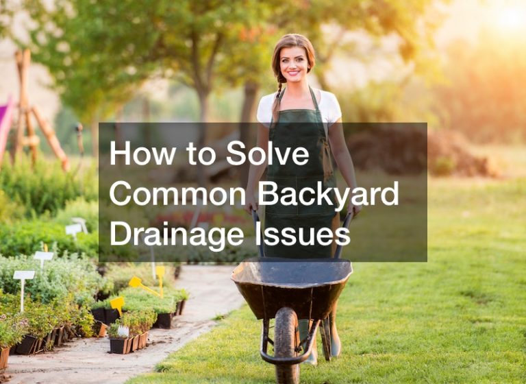 How to Solve Common Backyard Drainage Issues