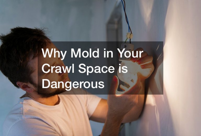 Why Mold in Your Crawl Space is Dangerous