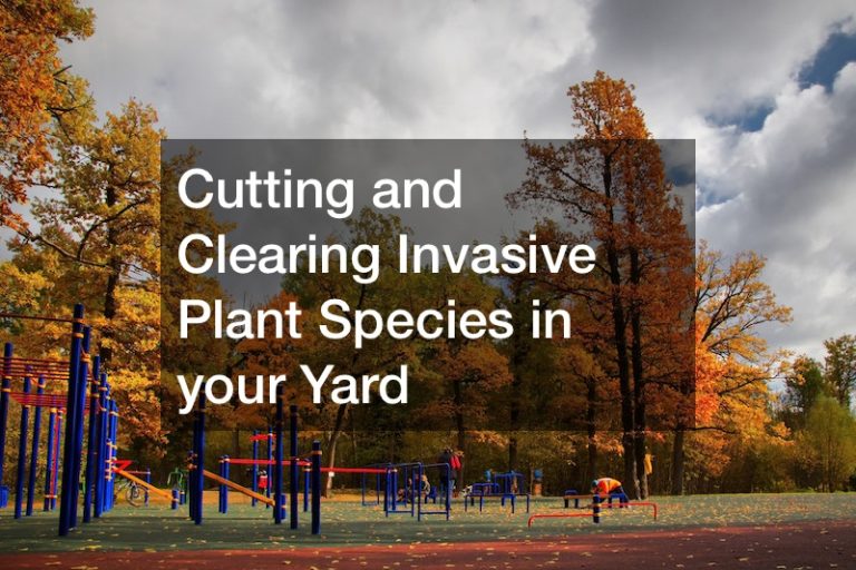 Cutting and Clearing Invasive Plant Species in your Yard