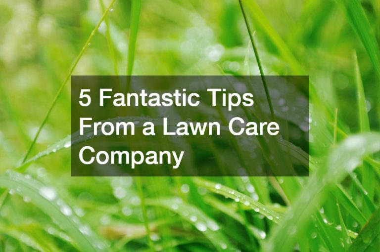 5 Fantastic Tips From a Lawn Care Company