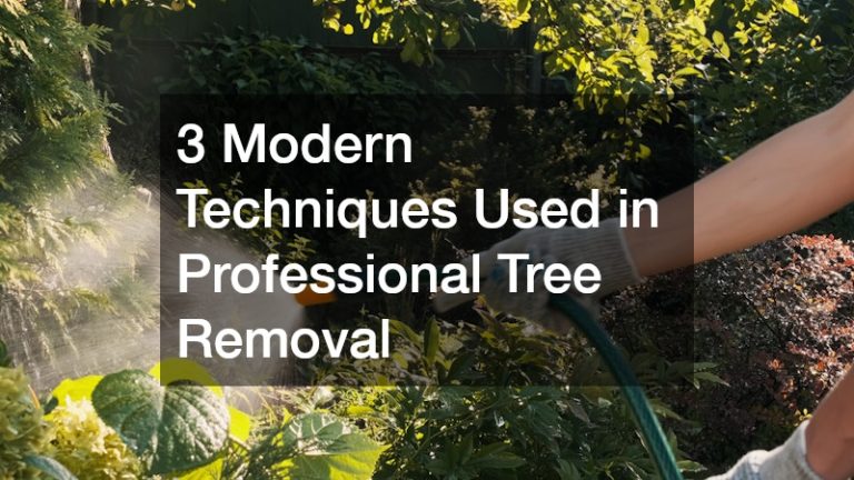 3 Modern Techniques Used in Professional Tree Removal