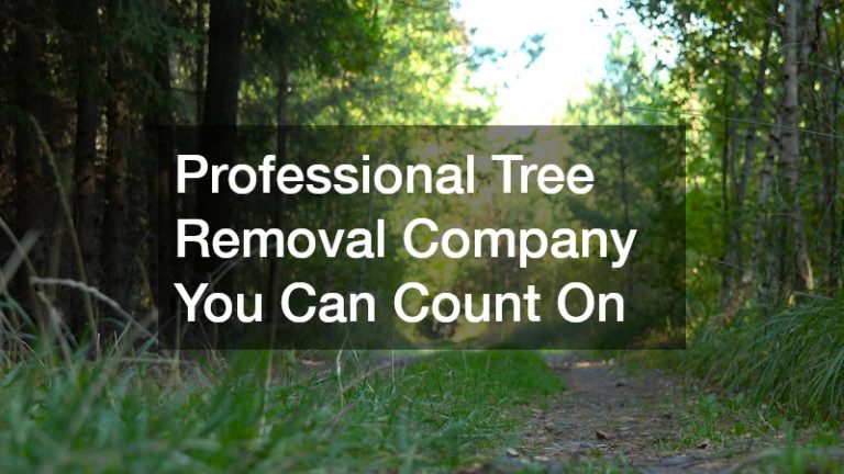 Professional Tree Removal Company You Can Count On